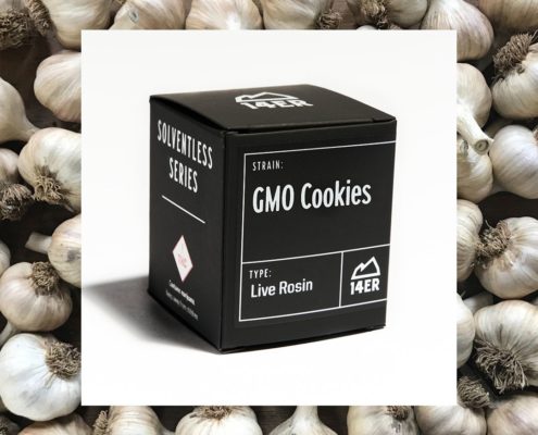 GMO COOKIES LIVE ROSIN