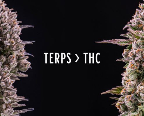 Terps Greater Than THC