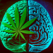 cannabis and brain