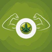 cannabis and exercise
