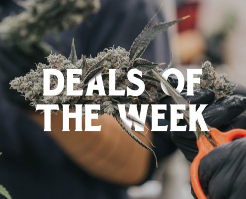 14er Weekly Deals for the week of March 25th