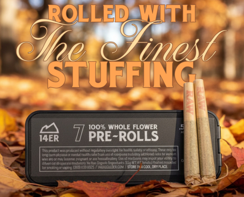 Stock up for Thanksgiving