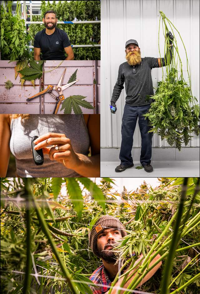 14ER_Boulder’s Original Craft Cannabis